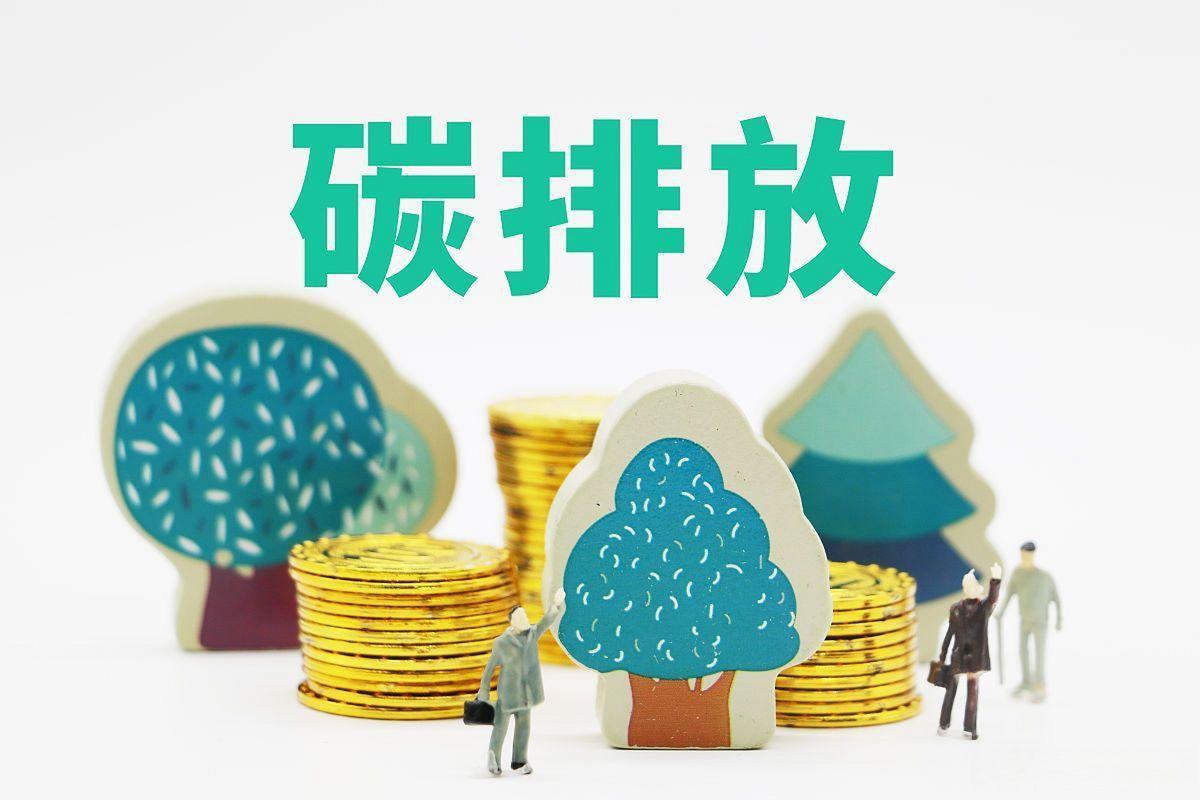 实现减排目标:企业应该首先实现减排目标,并在减排达标的基础上购买碳